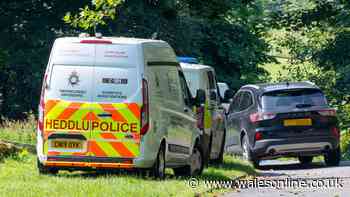 Last known movements of 14-year-old feared to have been murdered as teenage boy is arrested