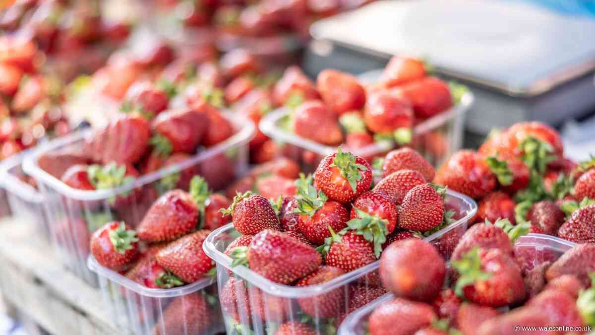 I tried three punnets of Sainsbury's strawberries to find the best - 1 was so sweet