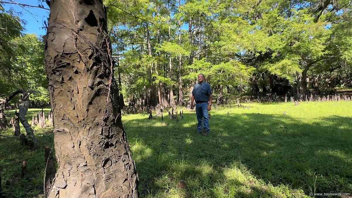 What Florida Forever funding decision means for land conservation