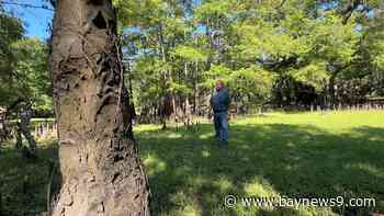 What Florida Forever funding decision means for land conservation