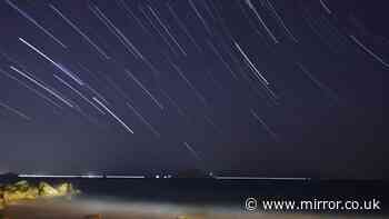 June Bootids meteor shower 2026 peaks this week - how to photograph it on your phone