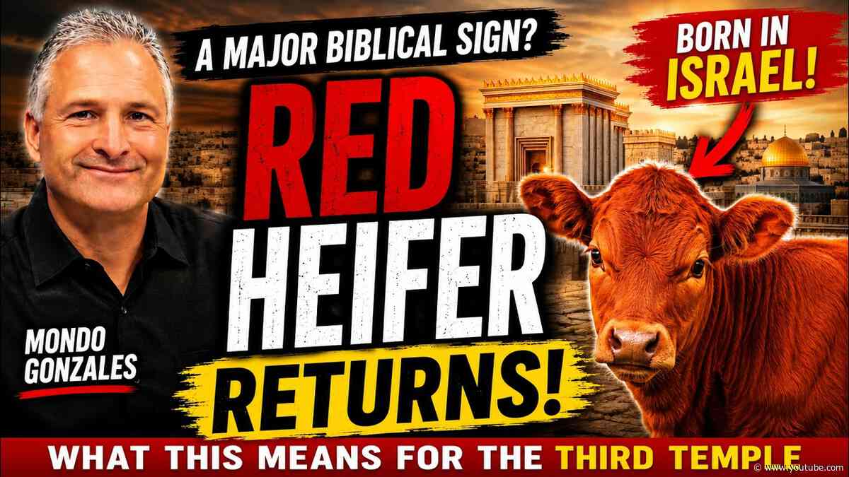A Red Heifer Born in Israel | Why It Matters | Mondo Gonzales