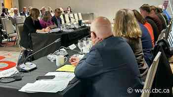 French immersion needs protection from politics, parents' group tells MLAs