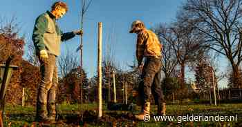 Gelderland krijgt 200.000 nieuwe bomen en struiken