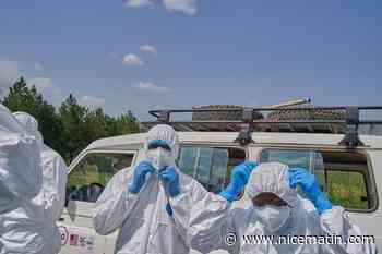 Un premier cas du virus Ebola détecté en France : le médecin rentrait de République démocratique du Congo