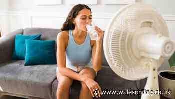 Two drinks everyone in Wales should avoid having today as heat alert issued