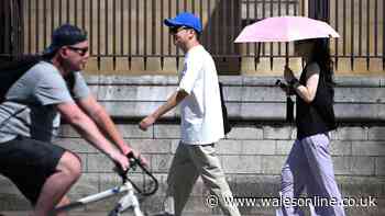 New petition calls for legal maximum working temperature as 40C heatwave hits