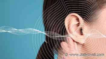 Heatwave tinnitus risk: Expert reveals little known link between sunburn and incurable hearing disorder
