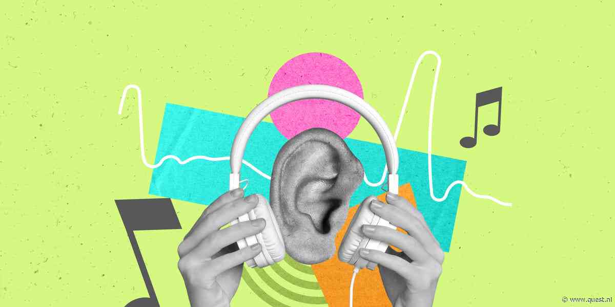 Doe de Grote Quest Muzikale Intelligentietest – Deel 2