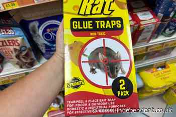 People using pest control glue traps face up to a year in prison