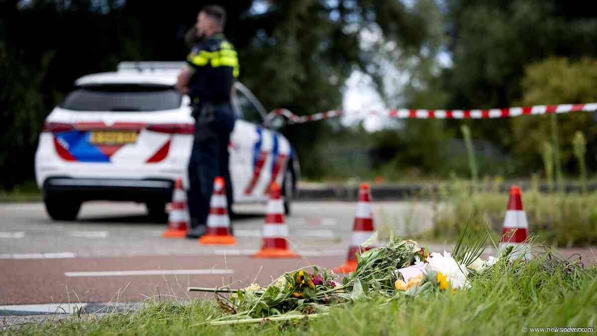 OM hekelt discussie over raadplegen politiesystemen: 'Familie Lisa lijdt eronder'