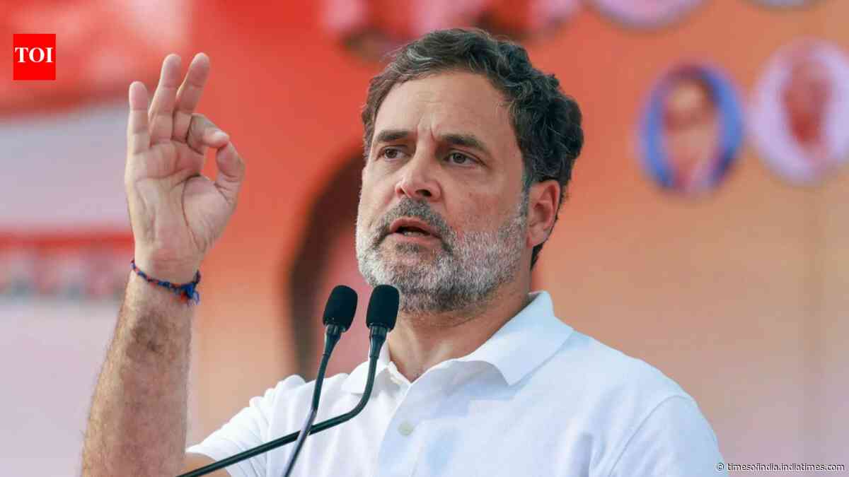 'Rahul owes nation explanation': BJP says IAF support tender for 36 Rafales exposes Pakistan propaganda