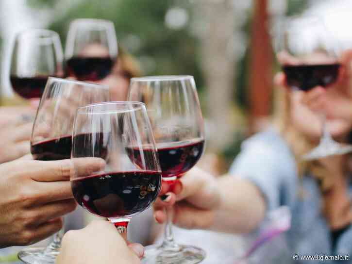 In vino canicula