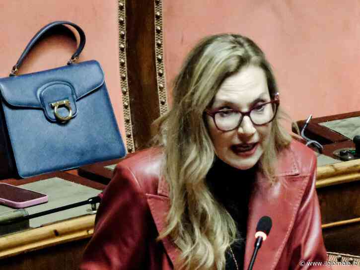 "Correttivi? Ascoltiamo Papa Leone. E non arriviamo a fare la legge"