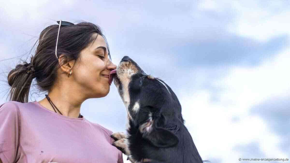 Weiß dein Hund, dass dein Kuss mehr als Nähe ist?