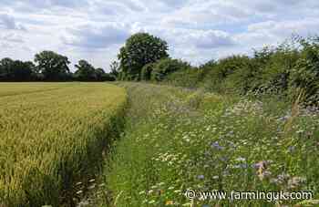 Organic farming leads evidence base on biodiversity and soil health
