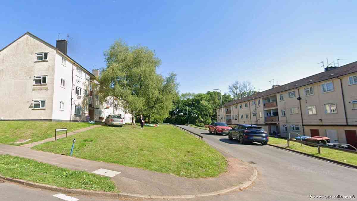 Pregnant woman attacked sister-in-law as family tensions boiled over