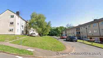 Pregnant woman attacked sister-in-law as family tensions boiled over