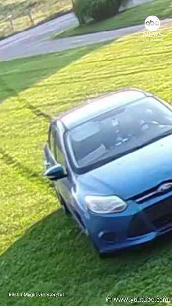 Amazon driver ruins freshly cut lawn to deliver package #delivery #garden #lawn