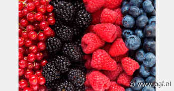 Roemenen lanceren Berry Marketplace