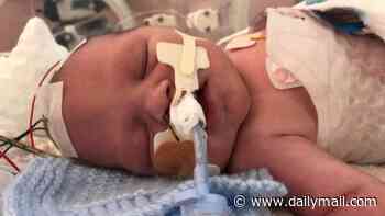 More than 500 mothers and babies died or were seriously harmed due to 'deep-rooted, systemic and sustained' maternity failures in Nottingham, damning review finds