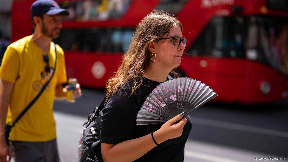 Expert reveals how hot weather can affect your body - including increased risk of organ failure from heat stroke