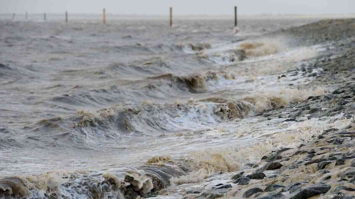 Tsunamis an Nord- und Ostsee kein Mythos: Auftreten könnte sich künftig erhöhen