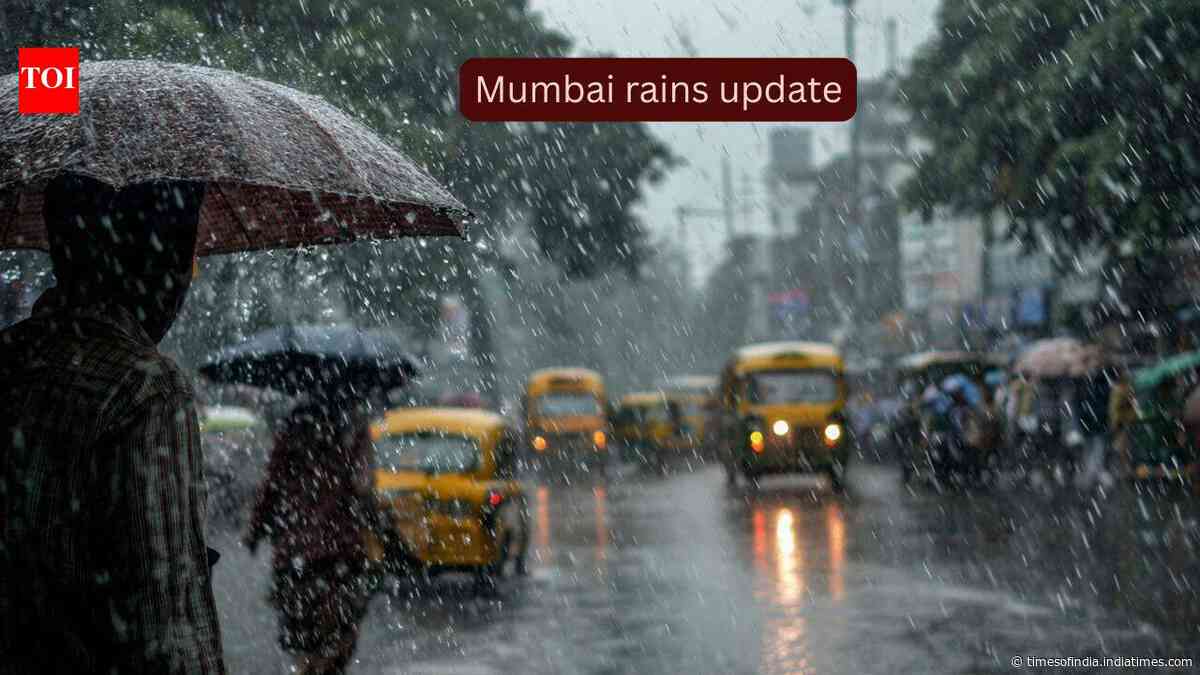 Mumbai rains update: IMD issues orange alert, flights and train services hit; here's what travellers should expect