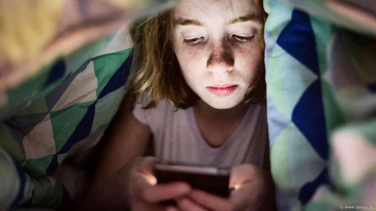 Karin Prien: Familienministerin will Altersgrenze von 13 Jahren für Social-Media