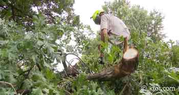 Tree service companies busy amid stretch of severe weather