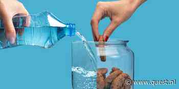 Soms haal jij dorst en honger door elkaar en dat is eigenlijk best logisch, blijkt
