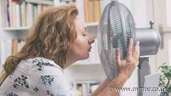 Should Brits be expected to work during heatwaves? Take our poll and have your say