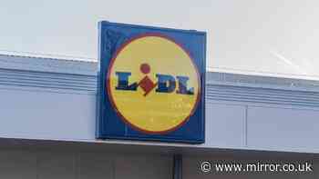 Lidl's new portable 3-in-1 air con unit for 'cool air' goes on sale this week