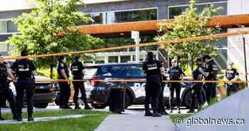 Policing safer now than in previous decades despite recent officer deaths: expert