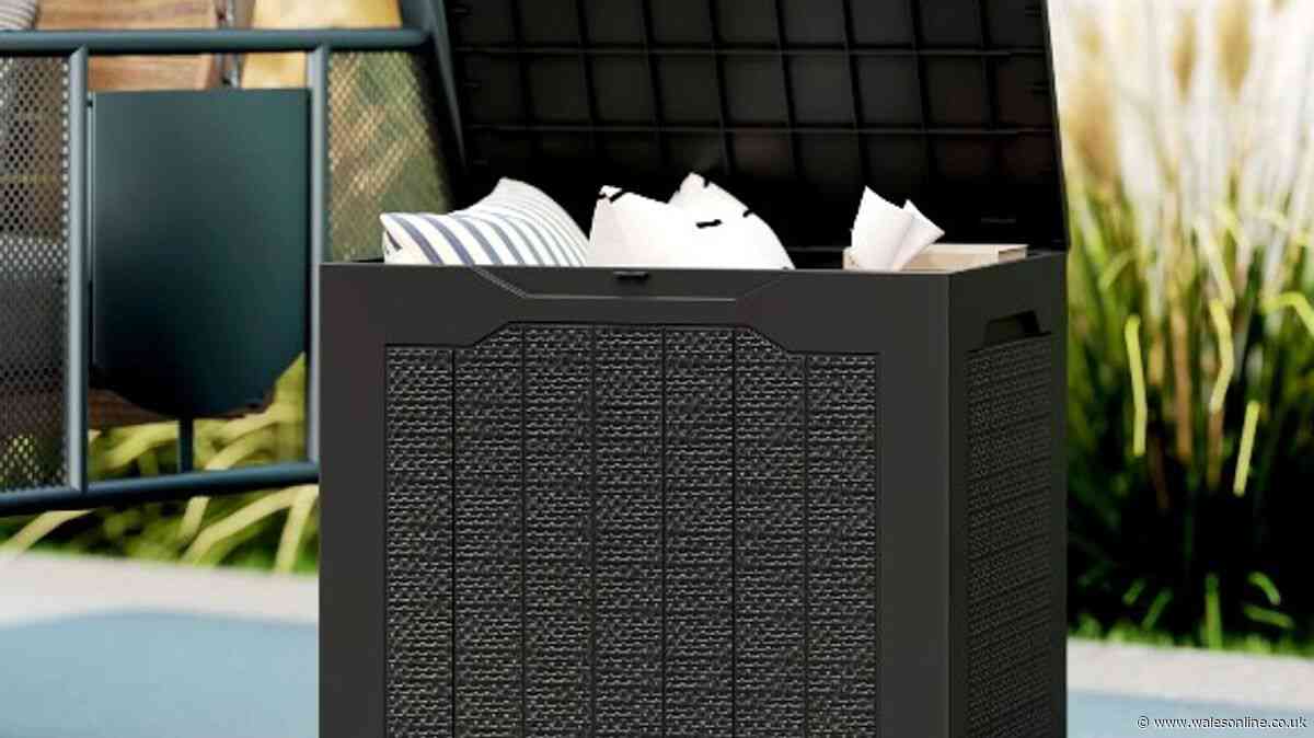 I found 'sturdy' garden storage on little-known site cheaper than Amazon Prime