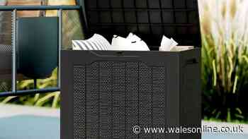 I found 'sturdy' garden storage on little-known site cheaper than Amazon Prime