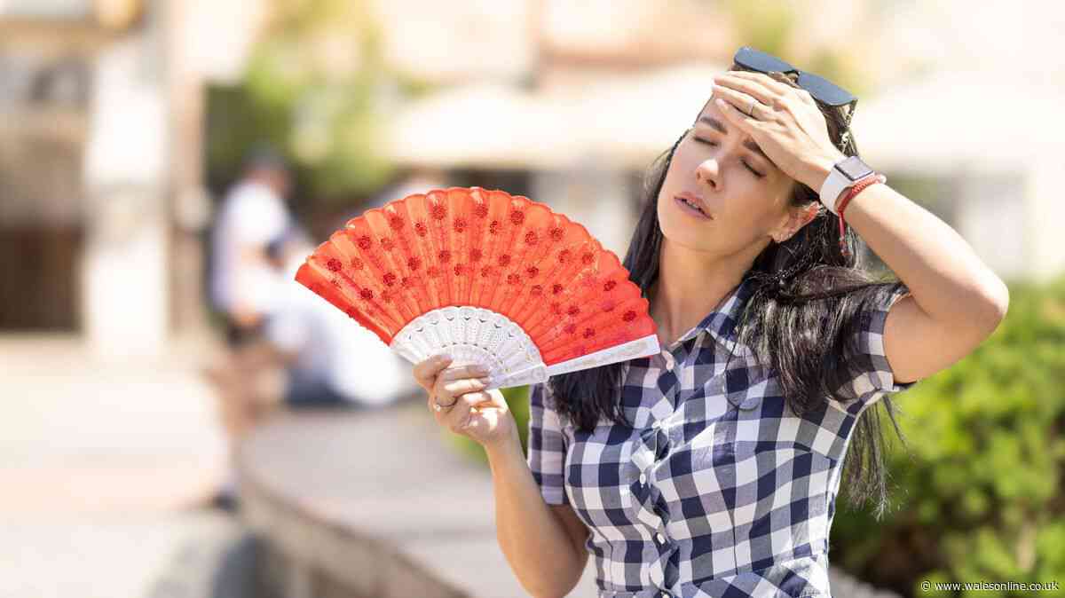 Reason you gain weight during a heatwave – and it has nothing to do with fat