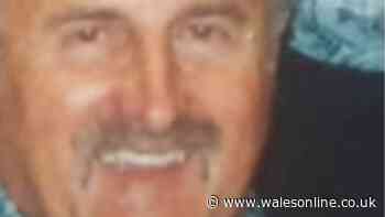 Driver killed in four-vehicle crash named as family issue tribute