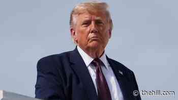 Trump says US will never be 'Communist Country' after Mamdani-backed candidates' wins