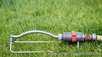 Hitze und Trockenheit: Wann gibt es Wassernutzungsverbote?