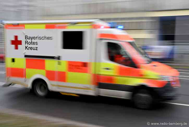 Erster Borna-Virus-Todesfall im Kreis Neuburg-Schrobenhausen