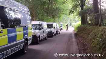 Man who lived in woods allegedly 'murdered two men before dismembering bodies'