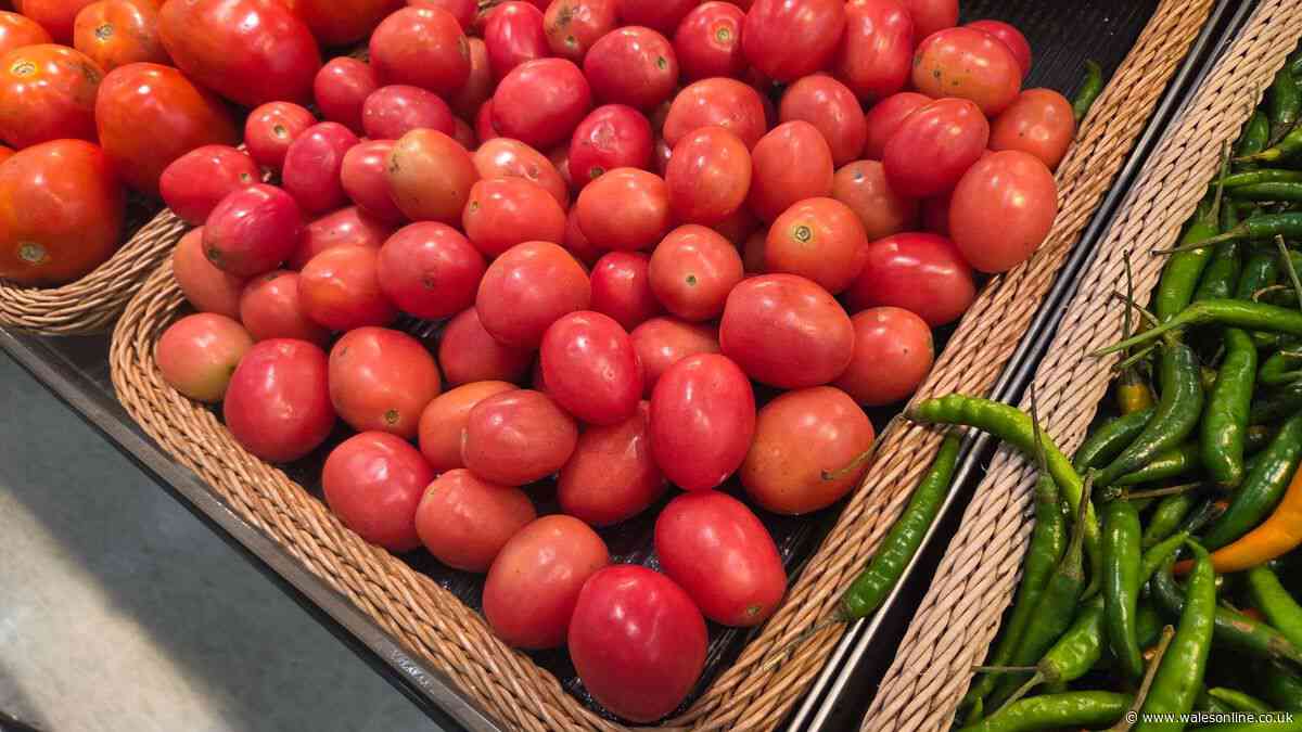 Warning for supermarket shoppers as tomato prices could rise in Wales