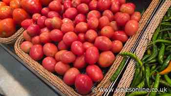 Warning for supermarket shoppers as tomato prices could rise in Wales