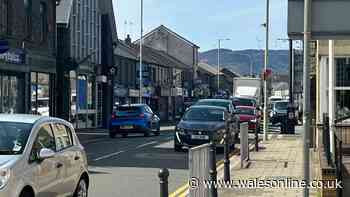 The five people who want to represent Treorchy on the local council