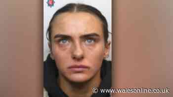 CrossFit athlete 'chose to drive when she could not see properly' and caused a tragic death