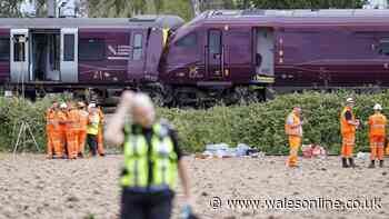Bedford train crash driver passed red signal before fatal collision, report finds