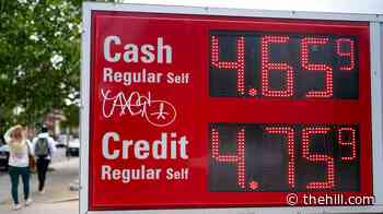 Trump says he ordered DOJ to probe gas price 'gouging' 