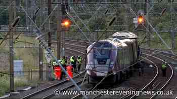 Train driver who died in Bedford crash passed red signal moments before, investigation finds