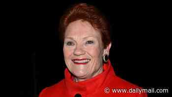 Heading into politics? Pauline Hanson offers Karl Stefanovic a job as Today host is dropped from Channel Nine over right-wing podcast: 'We'll get the country back on track'
